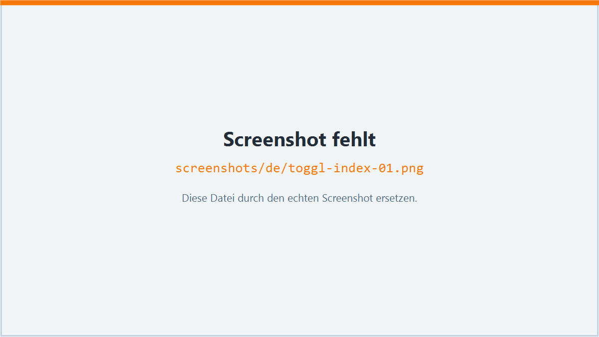NCS-Toggl im Überblick